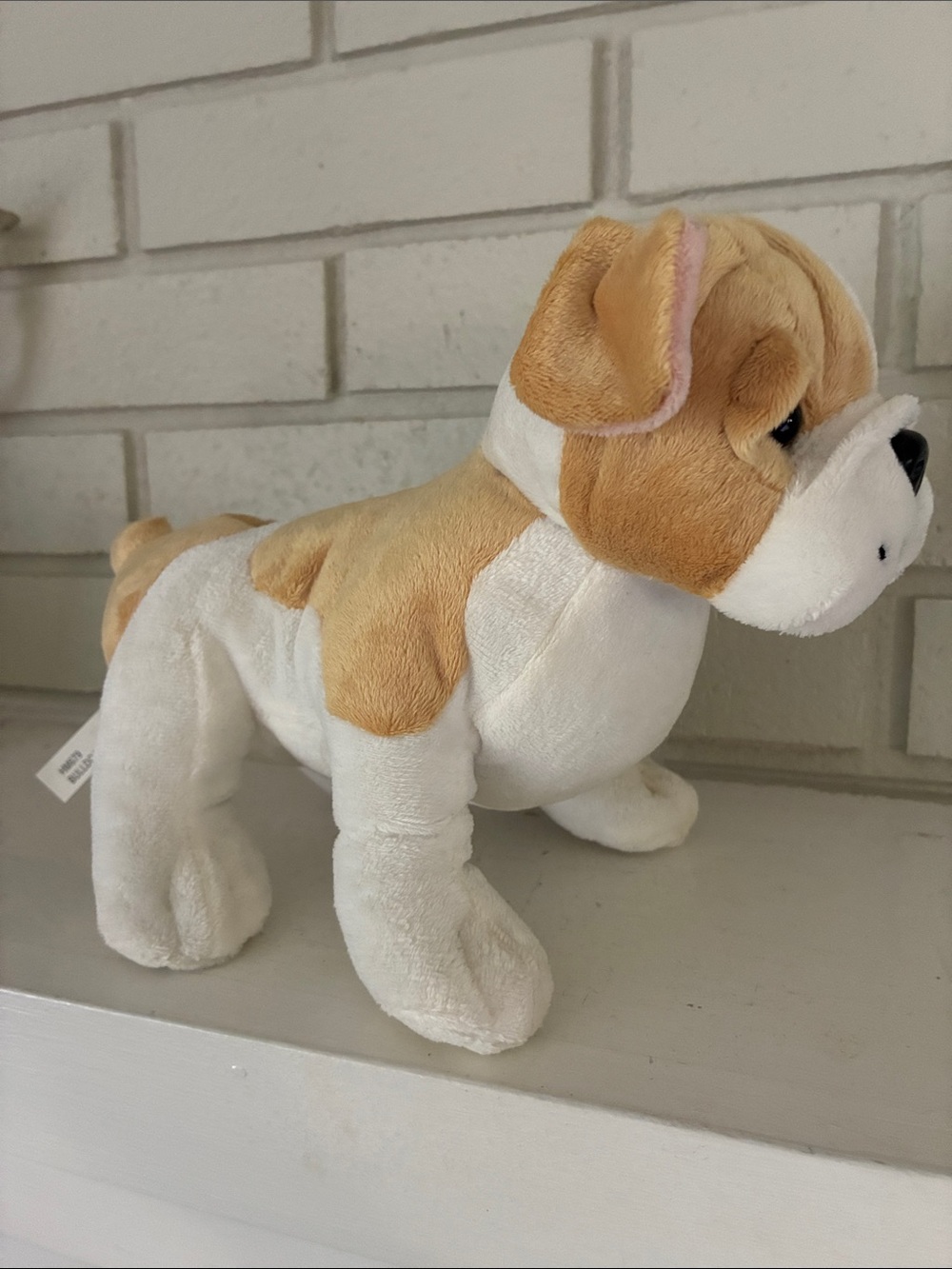 Webkinz Bulldog Plush - Minor Callouts - Picture 3 of 7